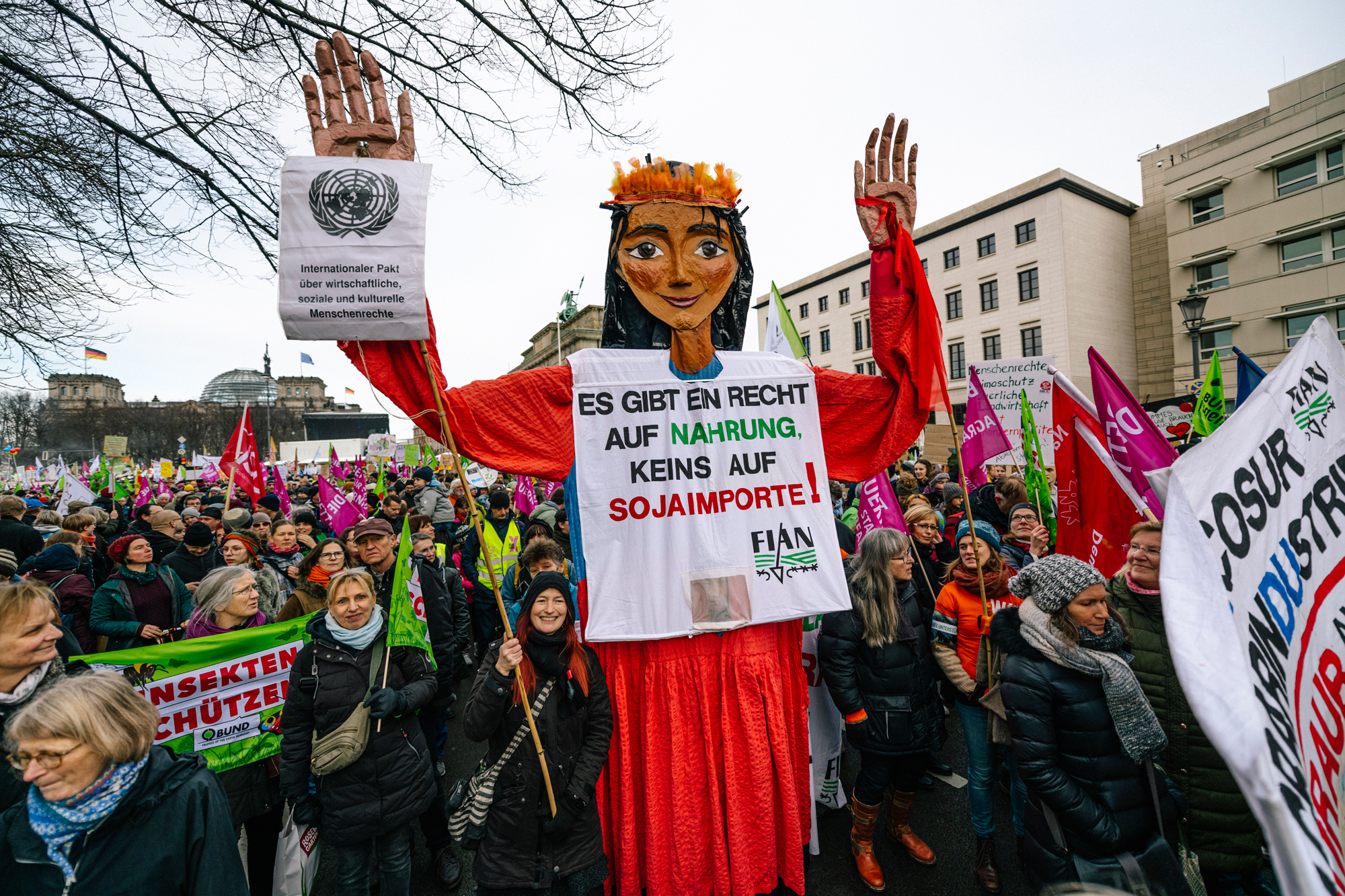 49416008637_e3d223c3a8_o