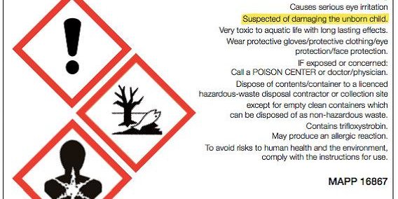 Nativo75WG_Grossbritannien_03