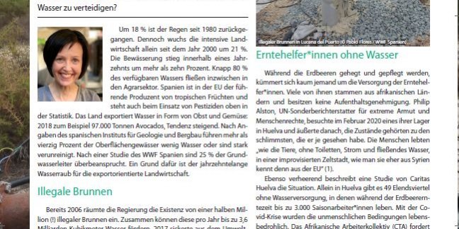 FianFokus2_2020_Vorschau