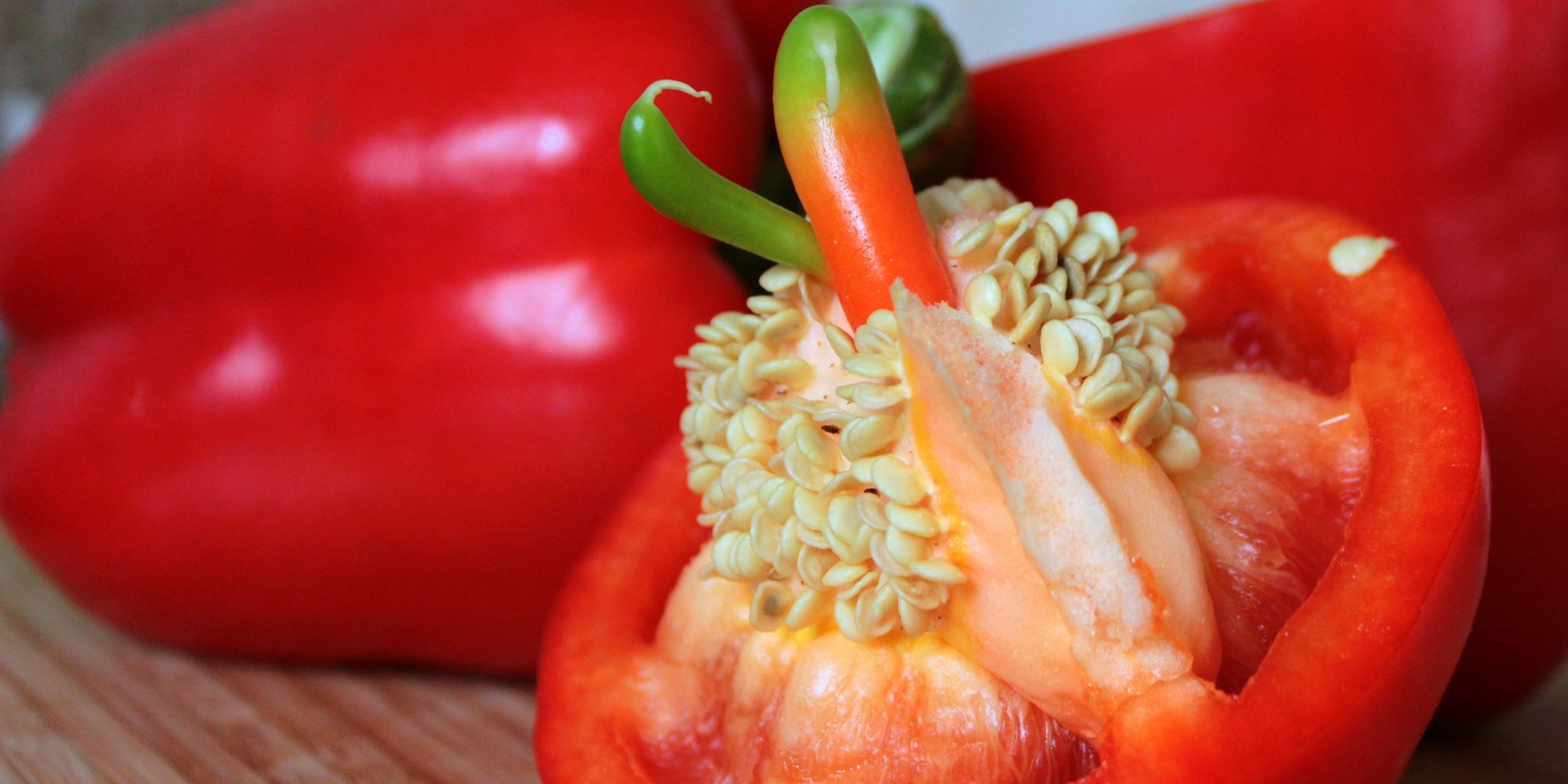 paprika-1300296_Pixabay