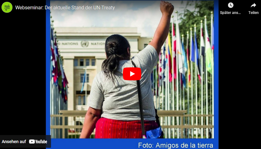 WEbinar UN-Treaty