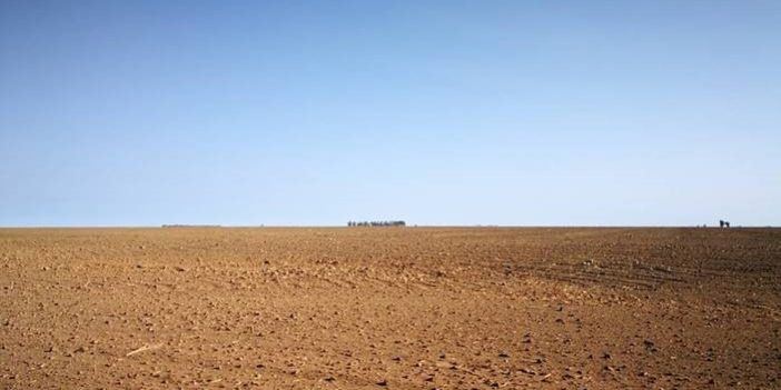 Wüstenlandschaft soweit das Auge reicht: Megasojafarmen im gerodeten Cerrado – © FIAN