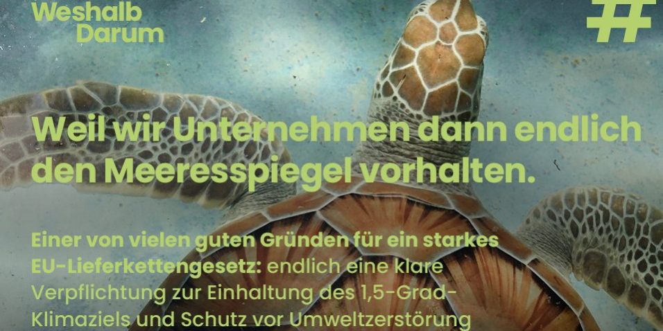 IL_WiesoWeshalbWarum_SocialMedia_1200x630-1