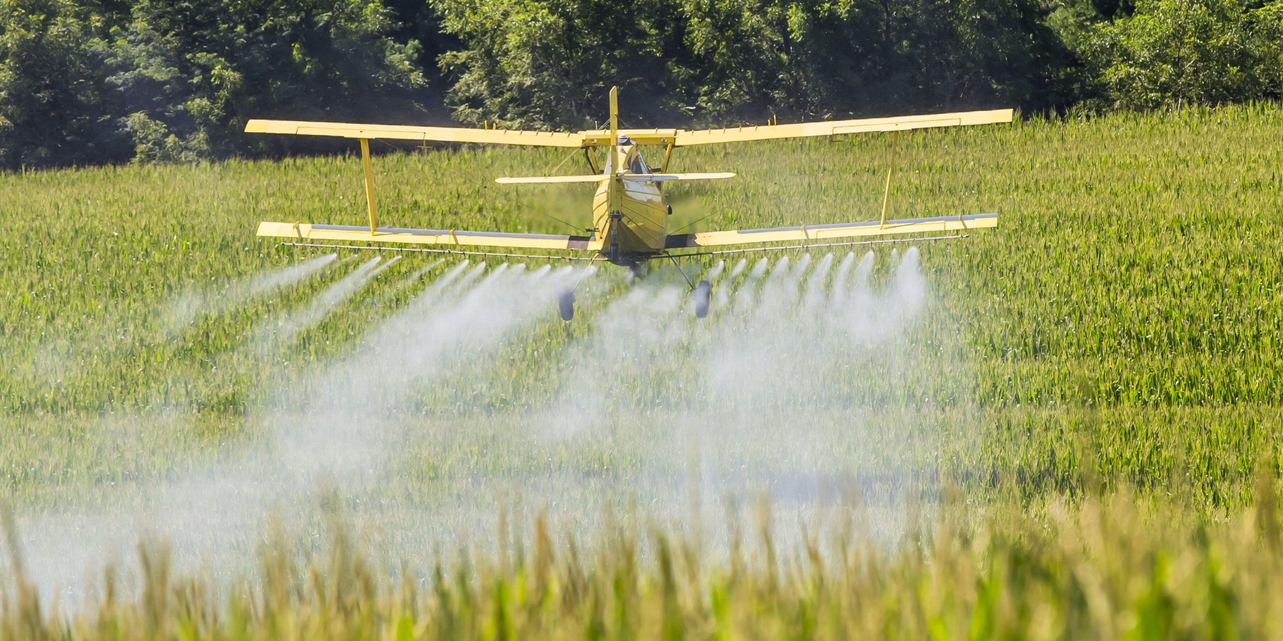 Yellow Crop Duster Spraying Pestisides On Crops