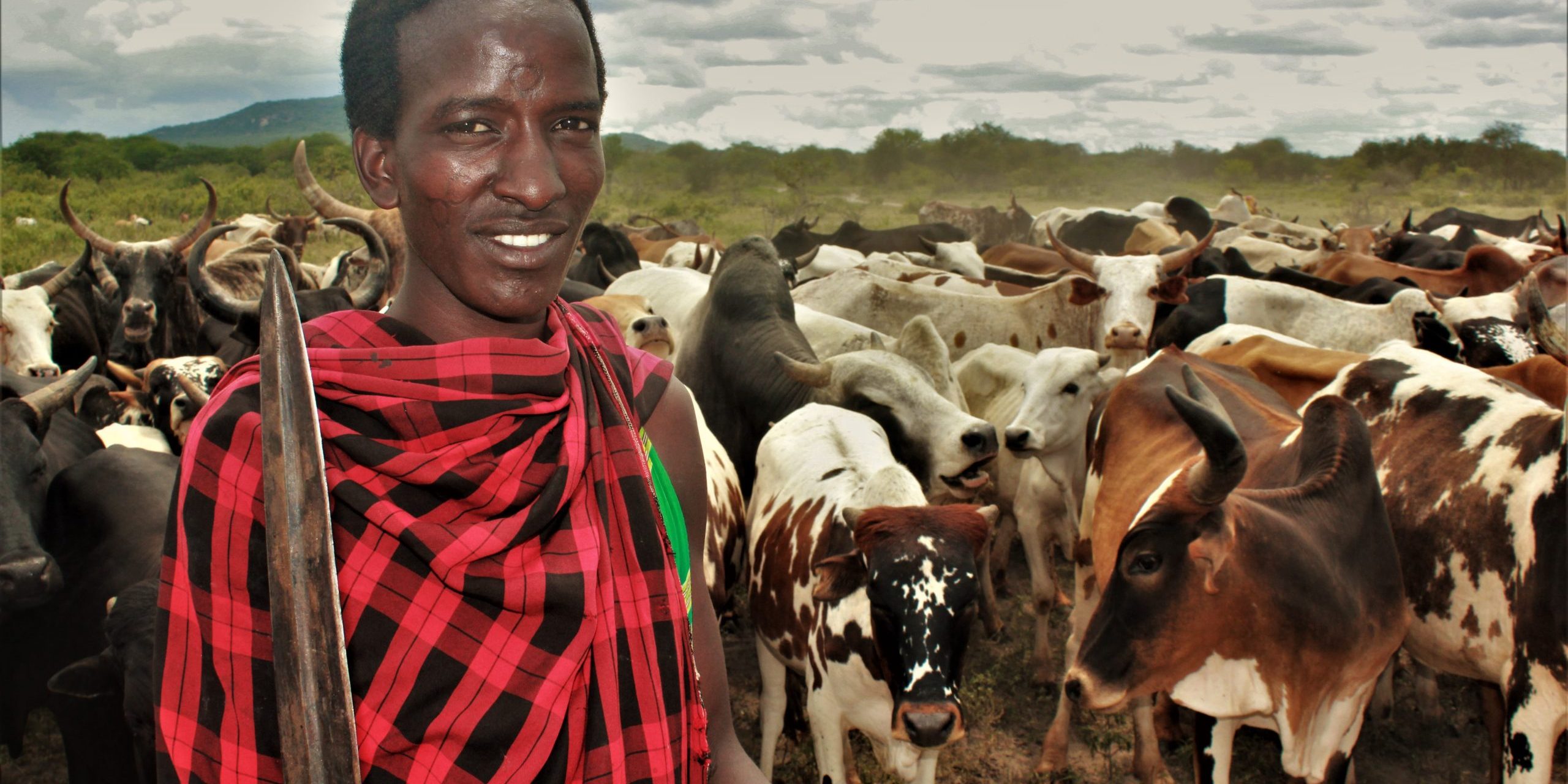 Tanzania Maasai herder_Anthony Denayer (c) Joseph Oleshangay