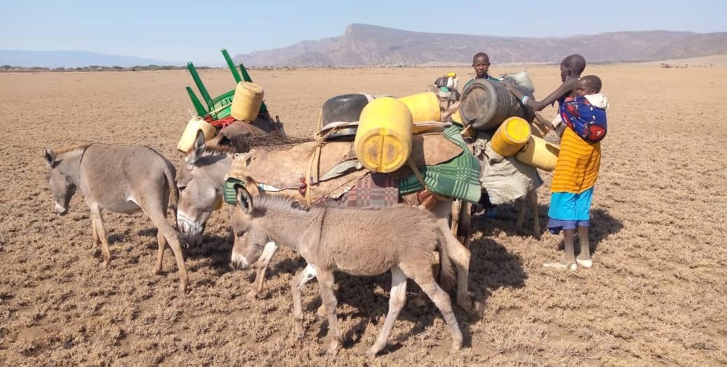 Vertreibung und Flucht von Maasai