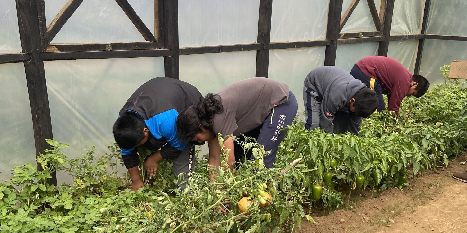 Gartenschule_Chile (c) Pedro Cona