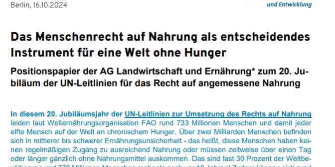 Bildschirmfoto_6-11-2024_978_www.fian.de