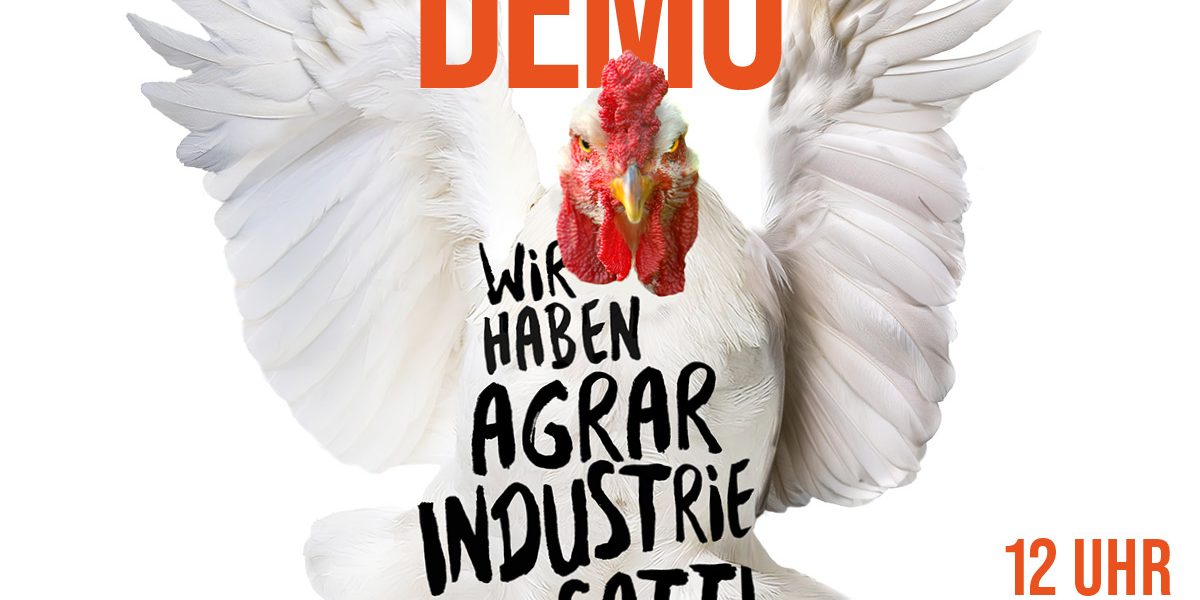 WHES25_1200x1200_hahn