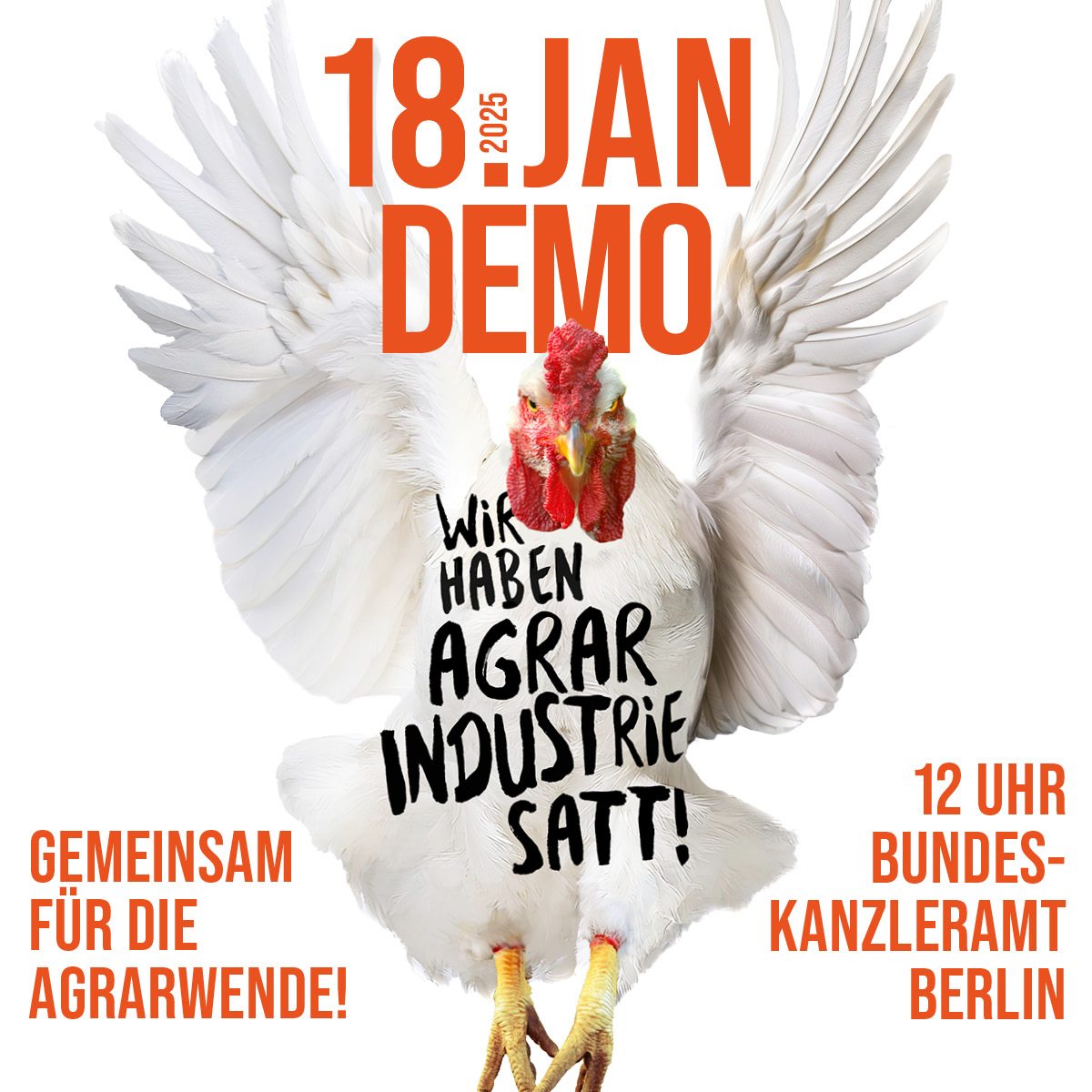 WHES25_1200x1200_hahn