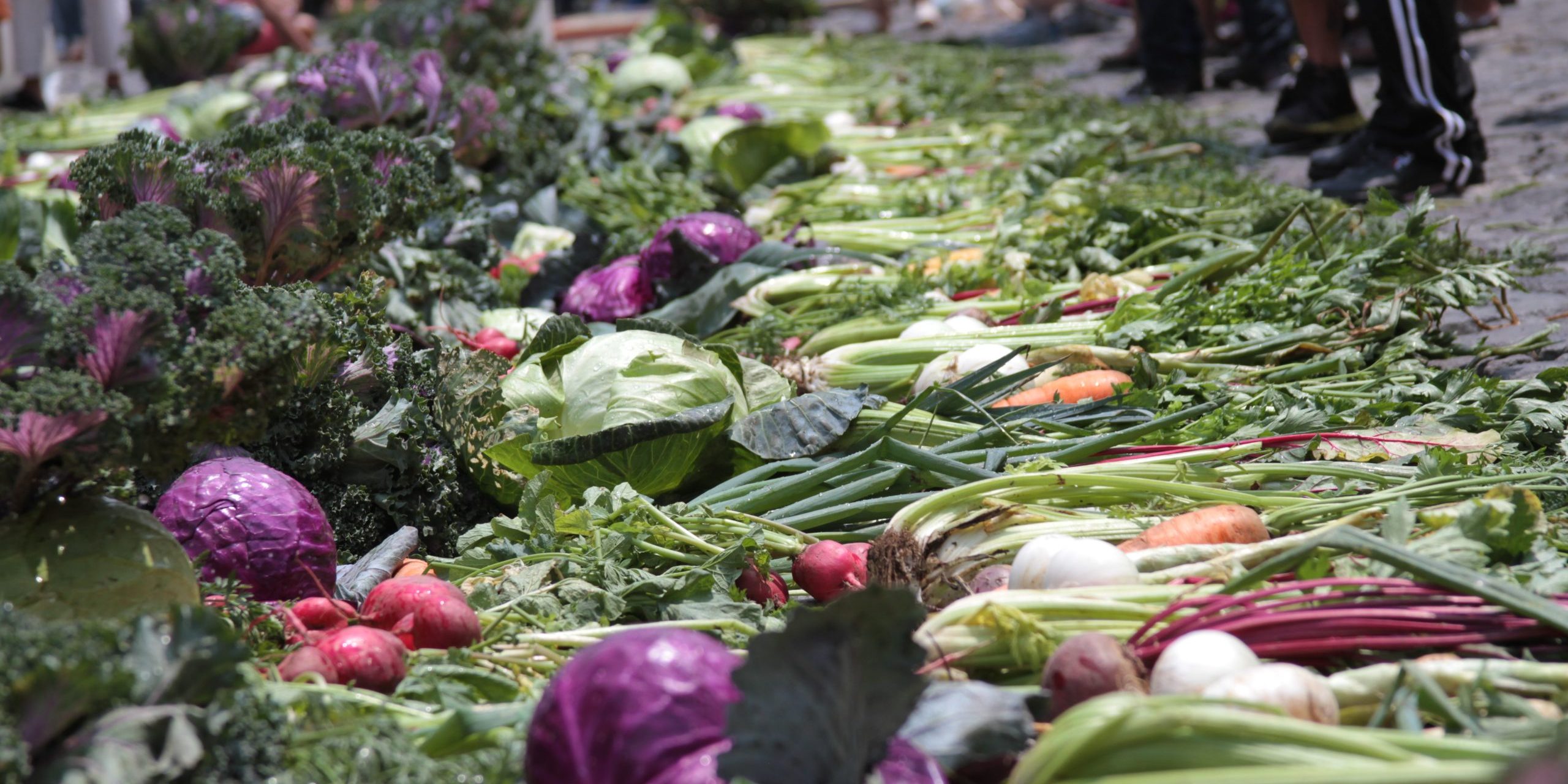 IMG_0160 Das Bild zeigt eine Auswahl an Gemüse