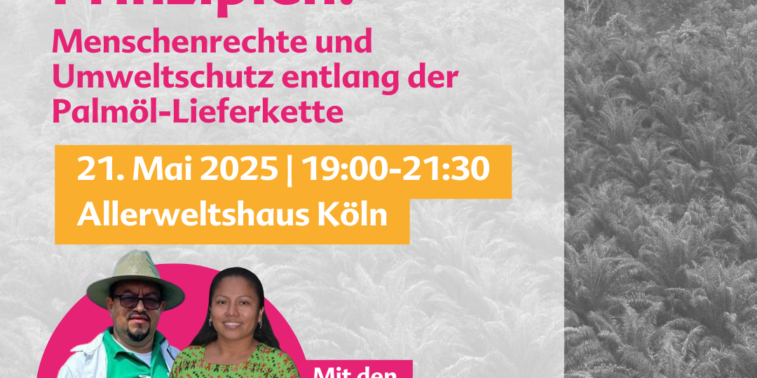 Sharepic Podiumsdiskussion Palmöl_final_2