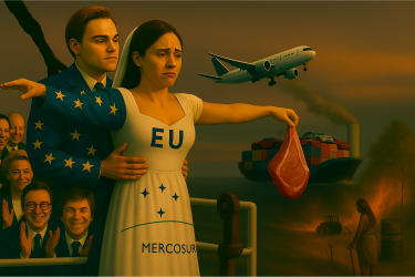 GetAttachmentThumbnail