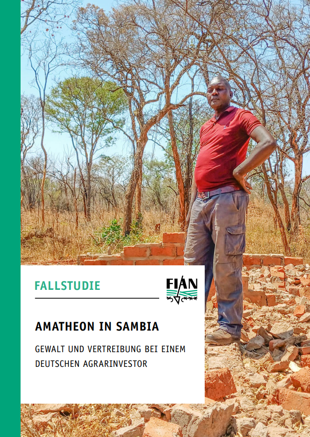 Cover Amatheon Studie 2025