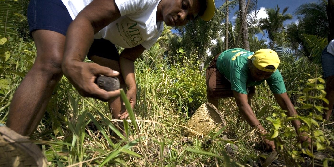Erfolge Brasilien 1998