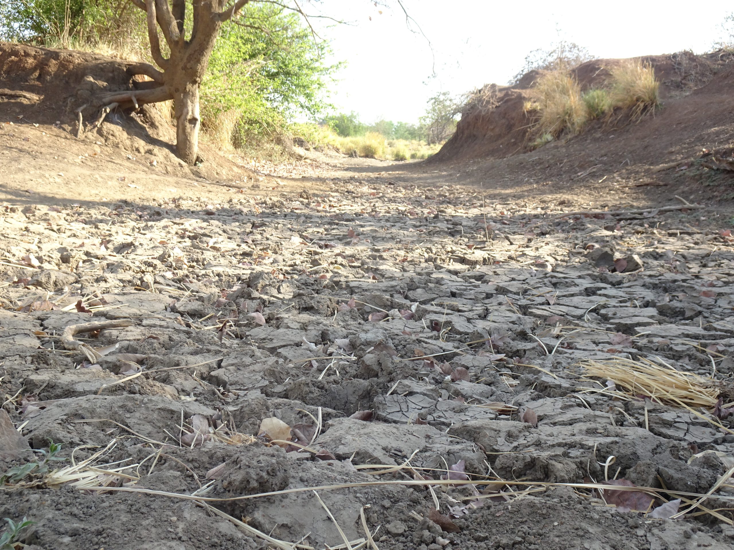 Ausgetrocknetes Flussbett