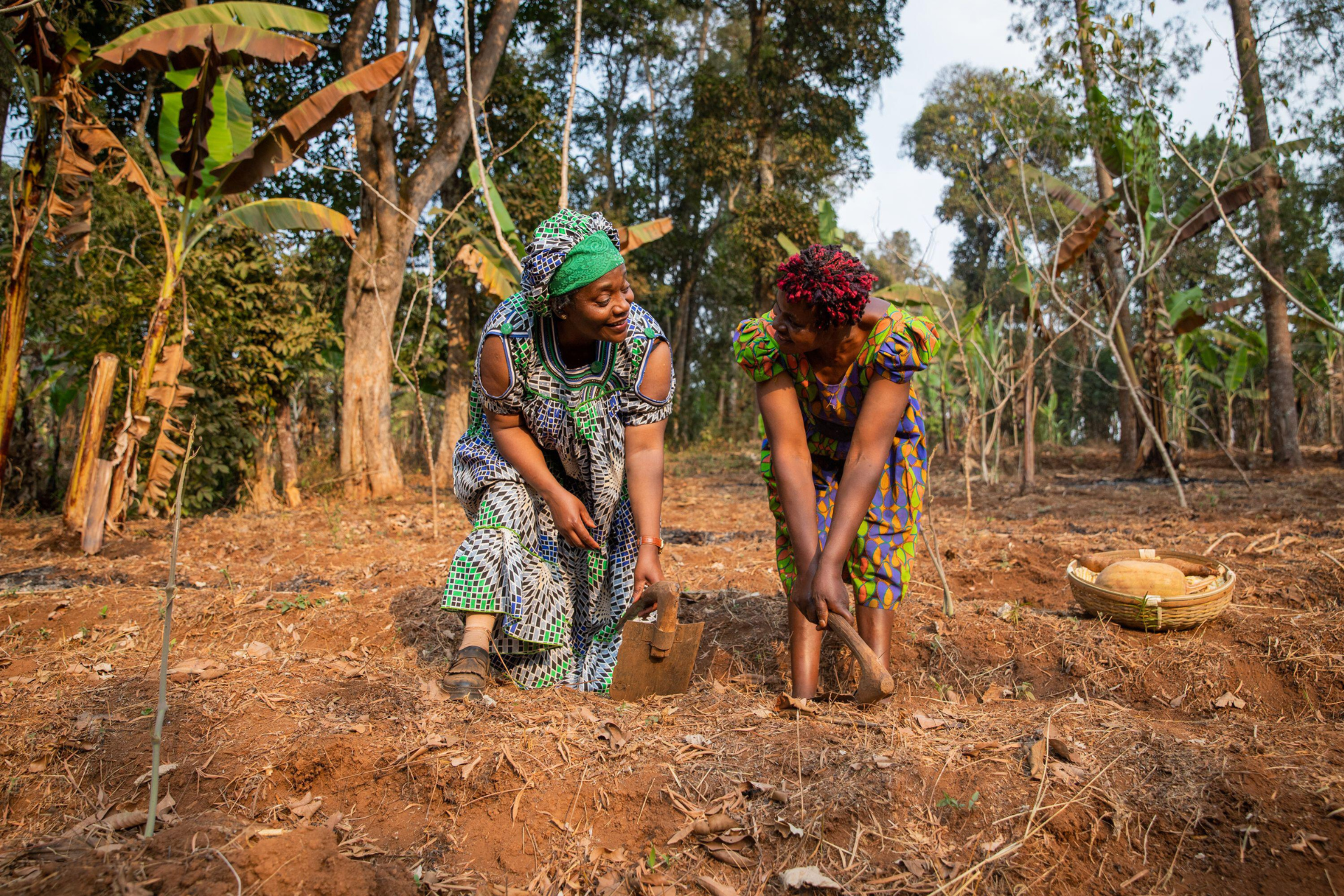 Frauen in der Landwirtschaft Canva Bild Termin 01-26