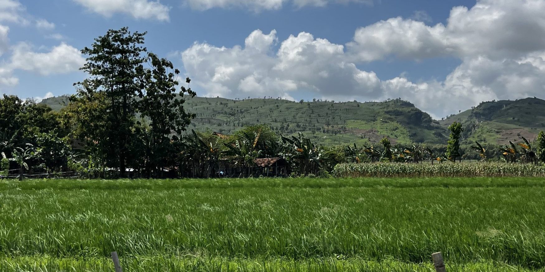 PM-26-05 Indonesien Gebirge