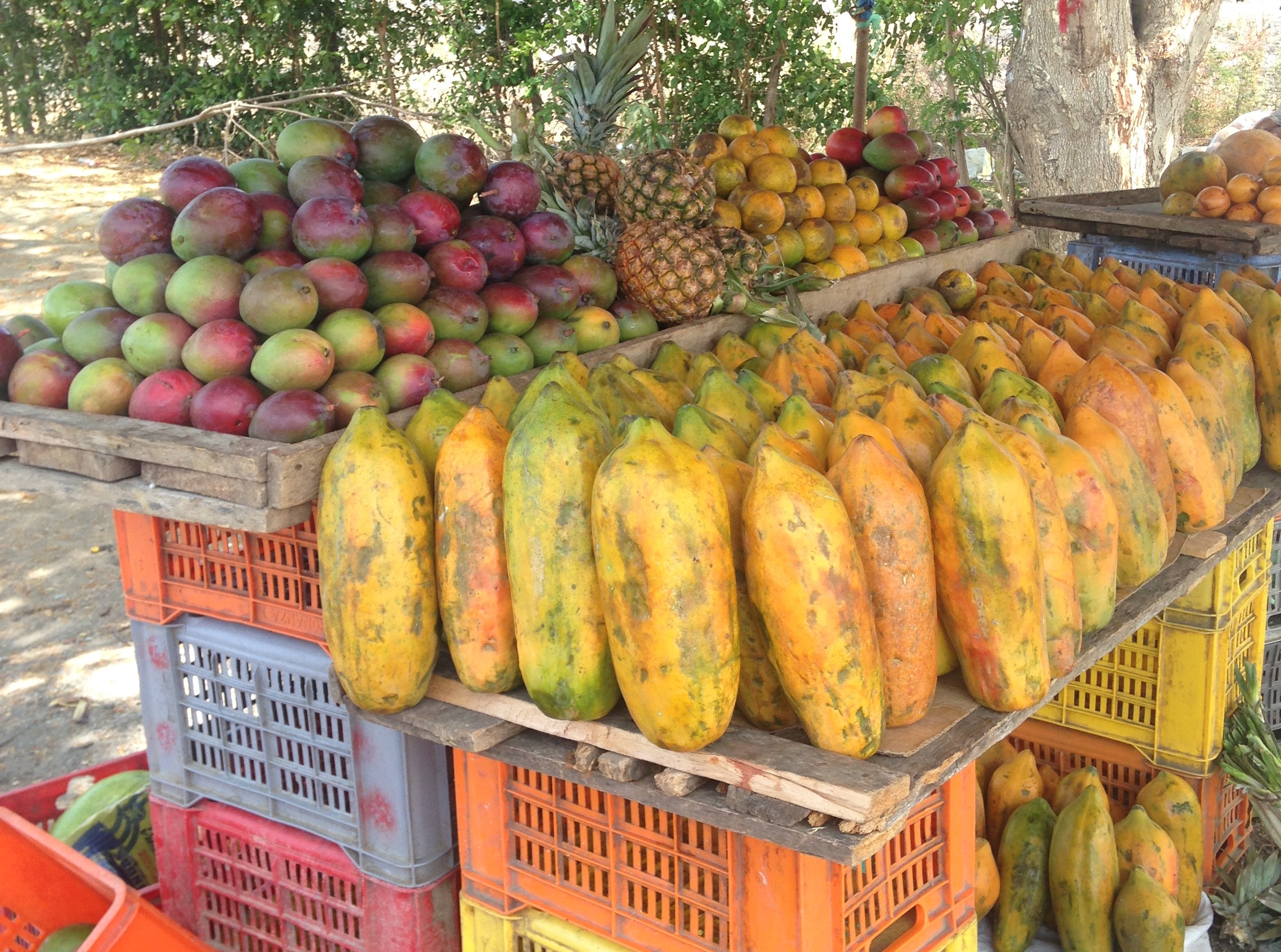 puesto frutas papaya 2